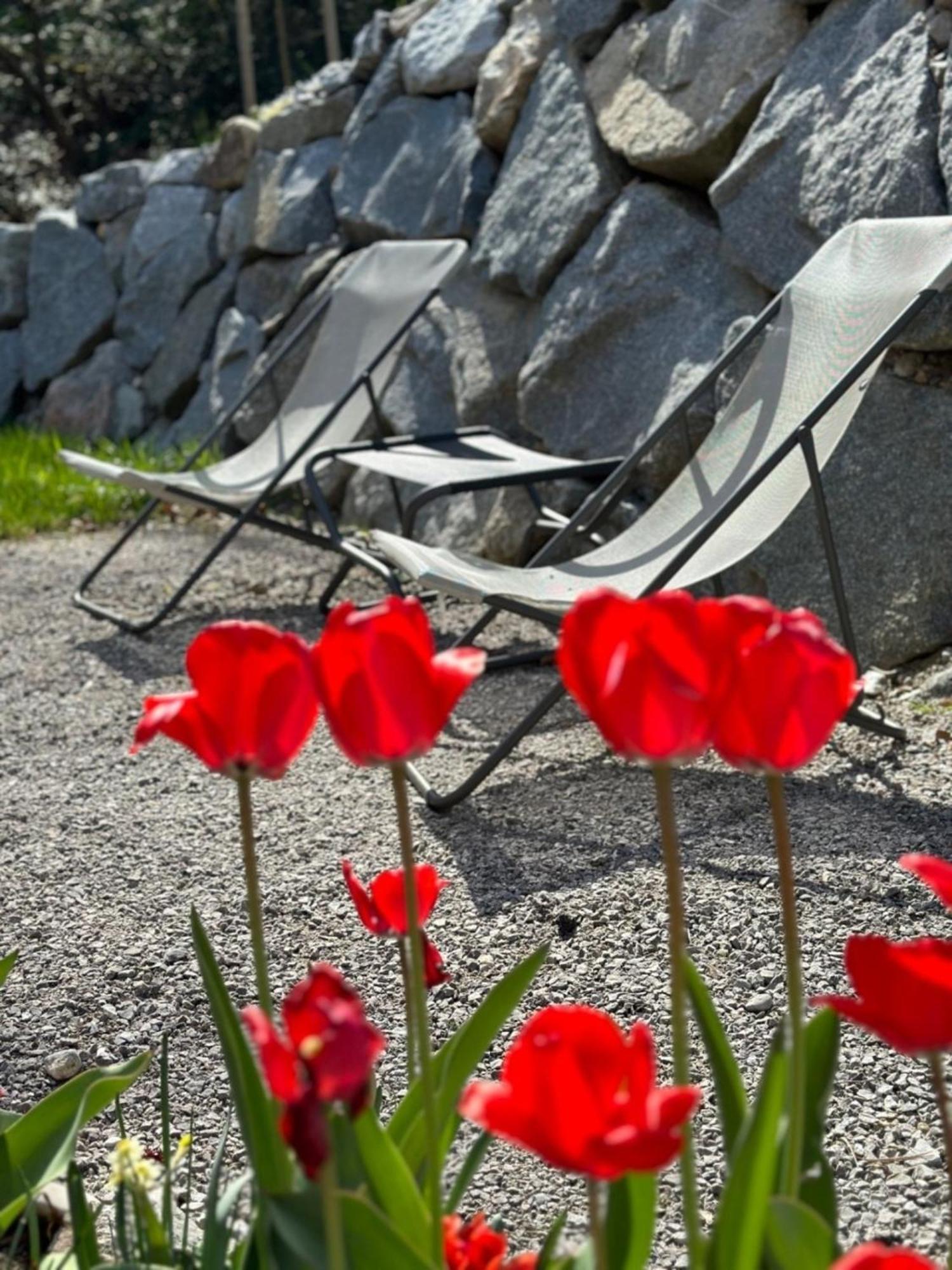 Chalet22 Beim Floesserhaus In Beuerberg Eurasburg エクステリア 写真