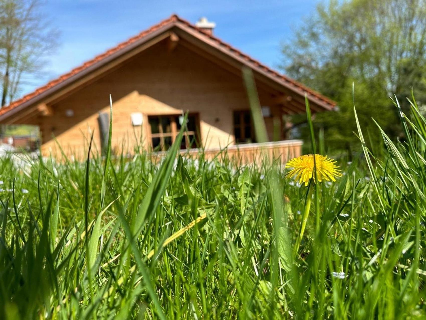 Chalet22 Beim Floesserhaus In Beuerberg Eurasburg エクステリア 写真